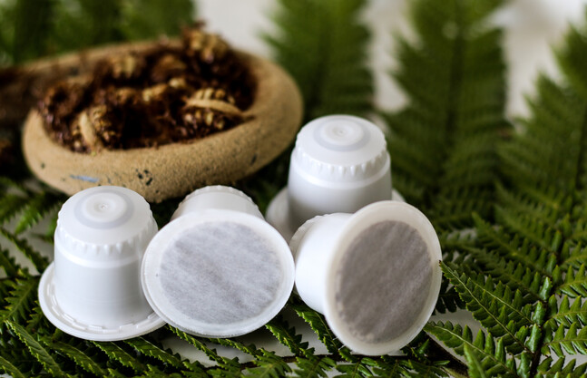 Cost Analysis: Eco Pods vs. Standard Pods Over 12 Months
